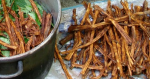 yagé