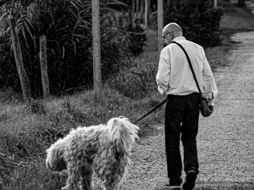 Alzheimer a domácí mazlíčci